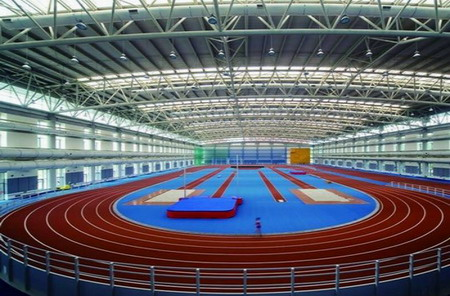 Why Choose Steel Structures for Sports Venues?