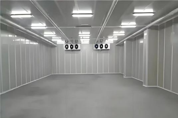 Key Considerations for Modern Steel Structure Cold Storage Construction