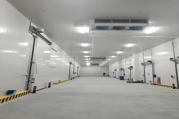 Global Cold Chain Infrastructure Upgrades Drive the Adoption of Steel Structure Cold Storage Facilities